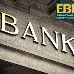 البنك المصرى لتنمية الصادرات 1