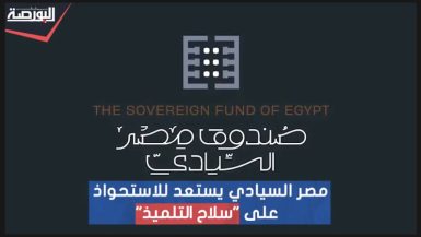 فيديو.. "مصر السيادي" يستعد للاستحواذ على حصة أغلبية في "سلاح التلميذ"