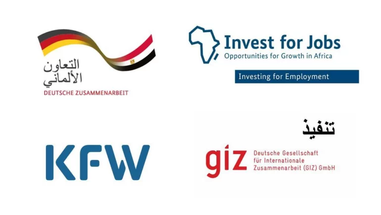 «الاستثمار من أجل التوظيف» تدعو الشركات لتقديم مشروعات لتمويلها