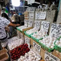 ارتفاع معدل التضخم في الفلبين إلى 8.1% خلال ديسمبر
